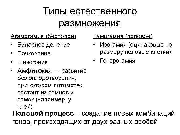  Типы естественного размножения Агамогамия (бесполое) Гамогамия (половое) • Бинарное деление • Изогамия (одинаковые