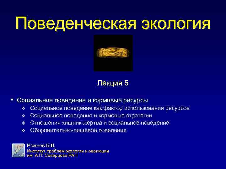Поведенческая экология Лекция 5 • Социальное поведение и кормовые ресурсы v v Социальное поведение