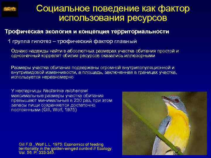 Социальное поведение как фактор использования ресурсов Трофическая экология и концепция территориальности 1 группа гипотез