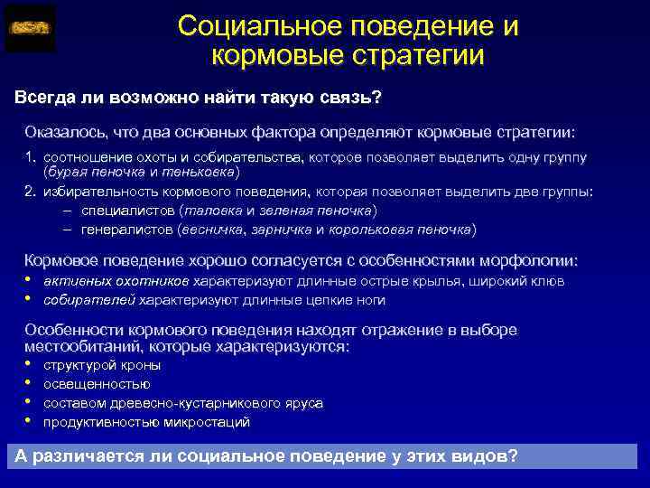 Социальное поведение и кормовые стратегии Всегда ли возможно найти такую связь? Оказалось, что два