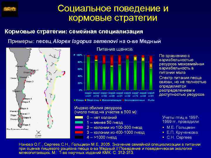 Социальное поведение и кормовые стратегии Кормовые стратегии: семейная специализация Примеры: песец Alopex lagopus semenovi
