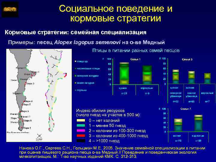 Социальное поведение и кормовые стратегии Кормовые стратегии: семейная специализация Примеры: песец Alopex lagopus semenovi