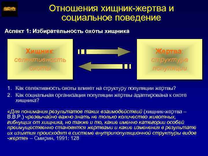 Отношения хищник-жертва и социальное поведение Аспект 1: Избирательность охоты хищника Хищник: селективность охоты Жертва: