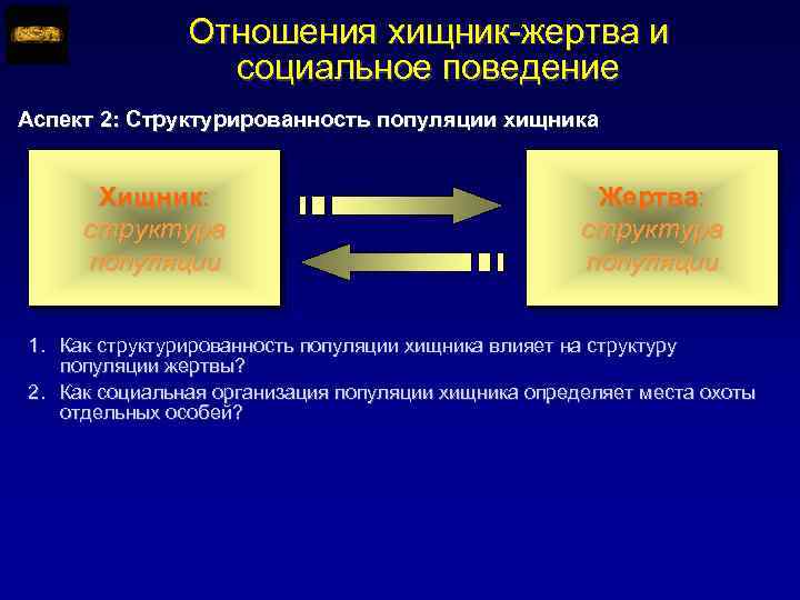 Природа социального поведения. Структурированность популяции. Отношения хищник жертва. Каковы особенности отношений хищник жертва. Взаимоотношения хищник жертва дестабилизируют.