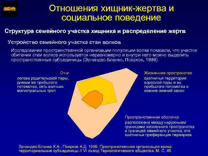 Отношения хищник-жертва и социальное поведение Структура семейного участка хищника и распределение жертв Устройство семейного