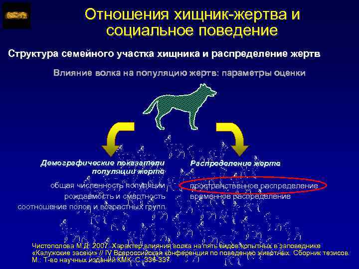 Отношения хищник-жертва и социальное поведение Структура семейного участка хищника и распределение жертв Влияние волка