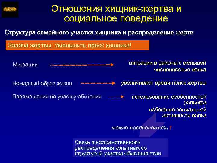 Отношения хищник-жертва и социальное поведение Структура семейного участка хищника и распределение жертв Задача жертвы:
