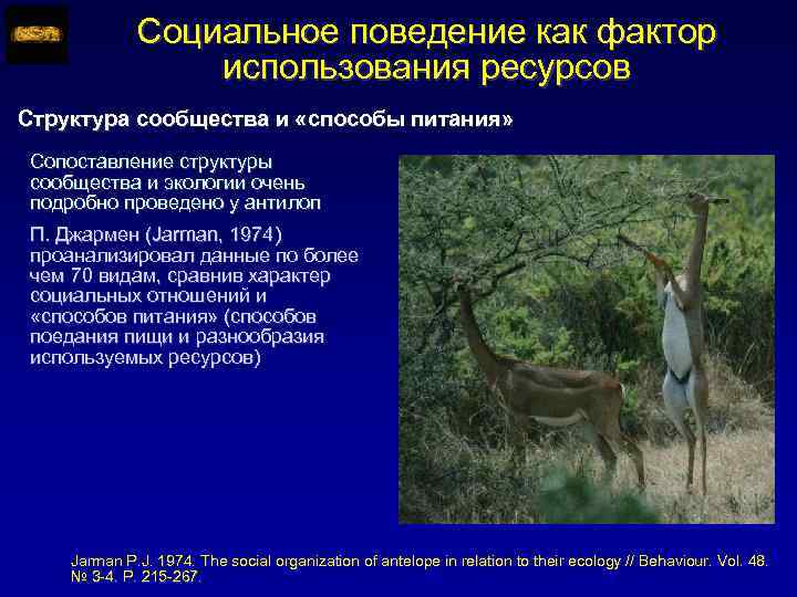 Социальное поведение как фактор использования ресурсов Структура сообщества и «способы питания» Сопоставление структуры сообщества