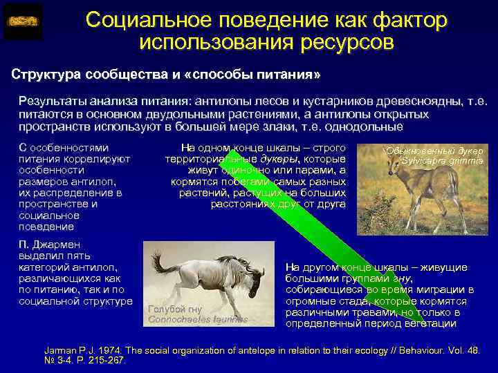 Социальное поведение как фактор использования ресурсов Структура сообщества и «способы питания» Результаты анализа питания: