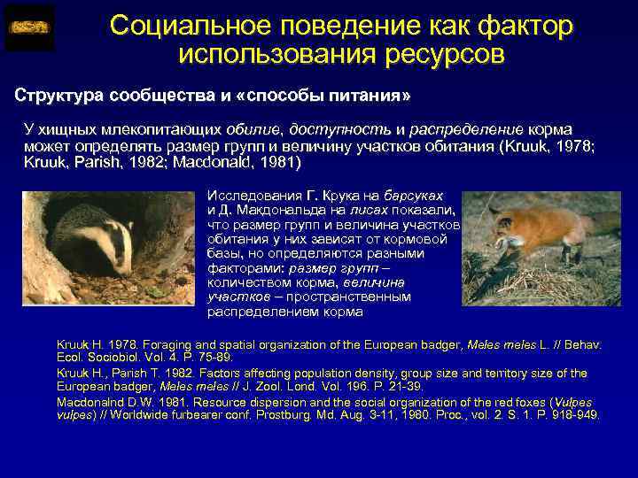 Социальное поведение как фактор использования ресурсов Структура сообщества и «способы питания» У хищных млекопитающих