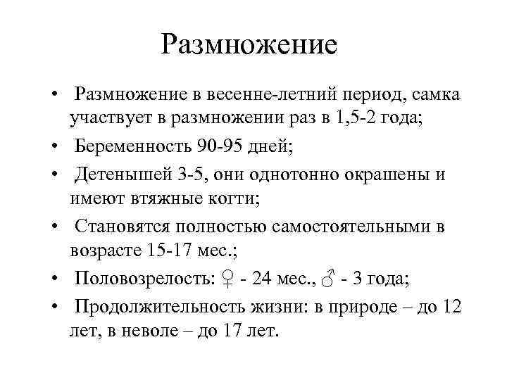 Размножение • Размножение в весенне-летний период, самка участвует в размножении раз в 1, 5