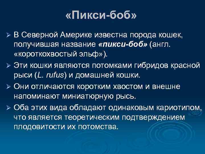  «Пикси-боб» В Северной Америке известна порода кошек, получившая название «пикси-боб» (англ. «короткохвостый эльф»
