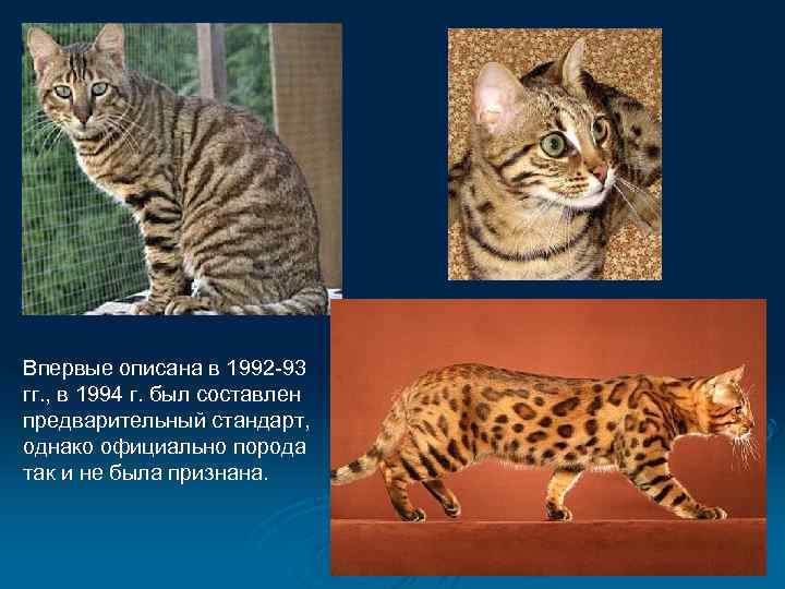 Впервые описана в 1992 -93 гг. , в 1994 г. был составлен предварительный стандарт,