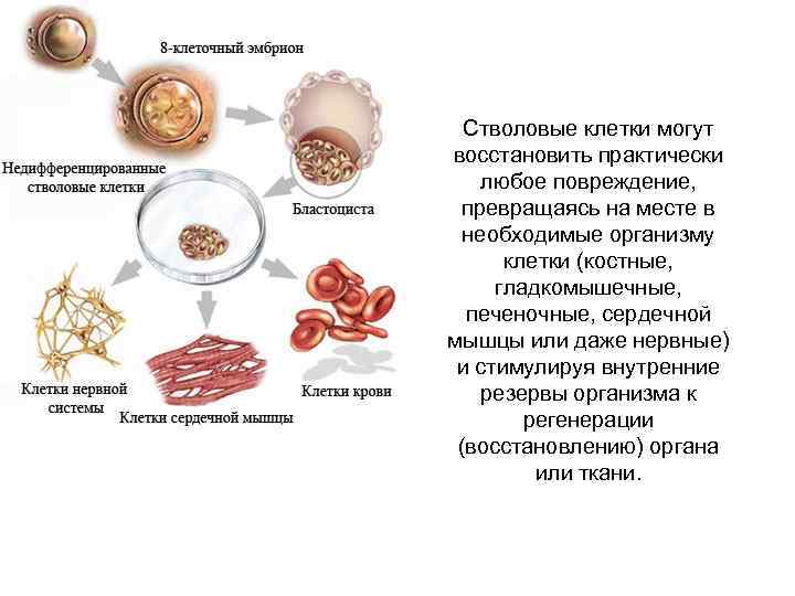 Lad mv56u d48 схема