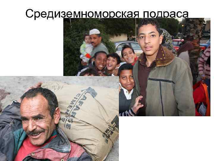 Средиземноморская подраса 