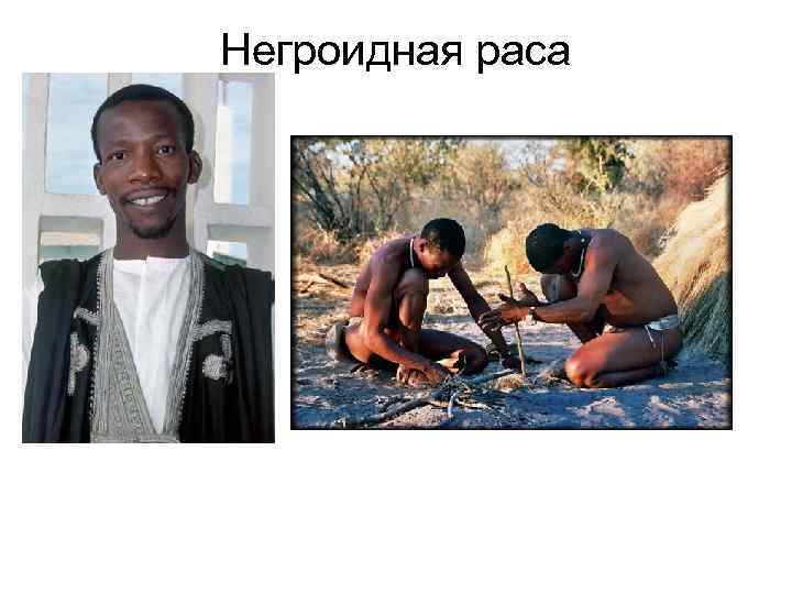 Негроидная раса 
