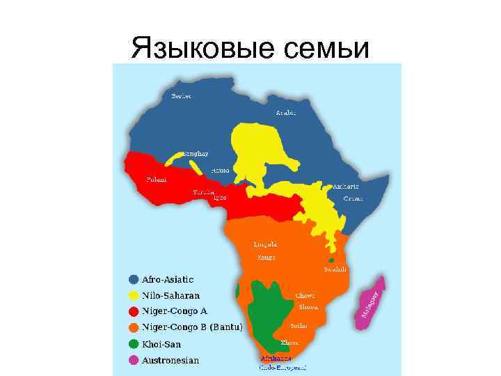 Языковые семьи 