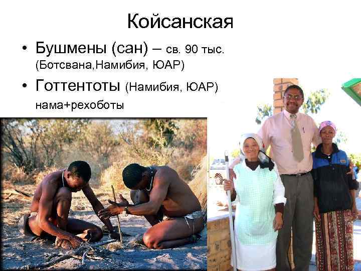 Койсанская • Бушмены (сан) – св. 90 тыс. (Ботсвана, Намибия, ЮАР) • Готтентоты (Намибия,