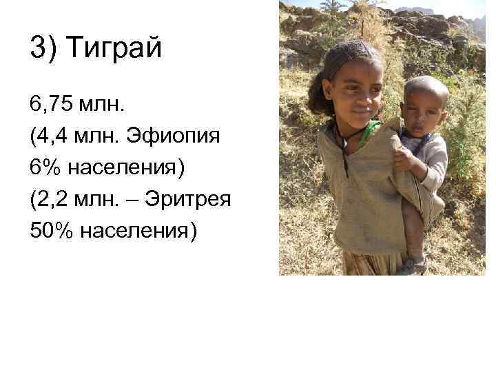 3) Тиграй 6, 75 млн. (4, 4 млн. Эфиопия 6% населения) (2, 2 млн.