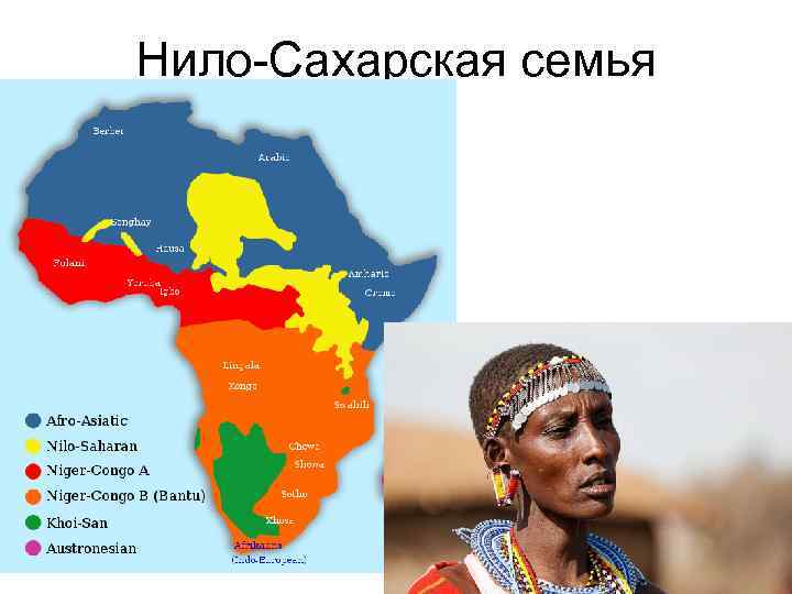 Нило-Сахарская семья 