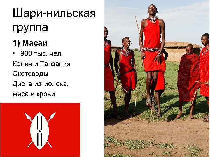 Шари-нильская группа 1) Масаи • 900 тыс. чел. Кения и Танзания Скотоводы Диета из