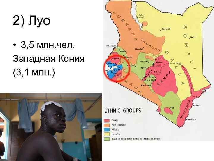 2) Луо • 3, 5 млн. чел. Западная Кения (3, 1 млн. ) 