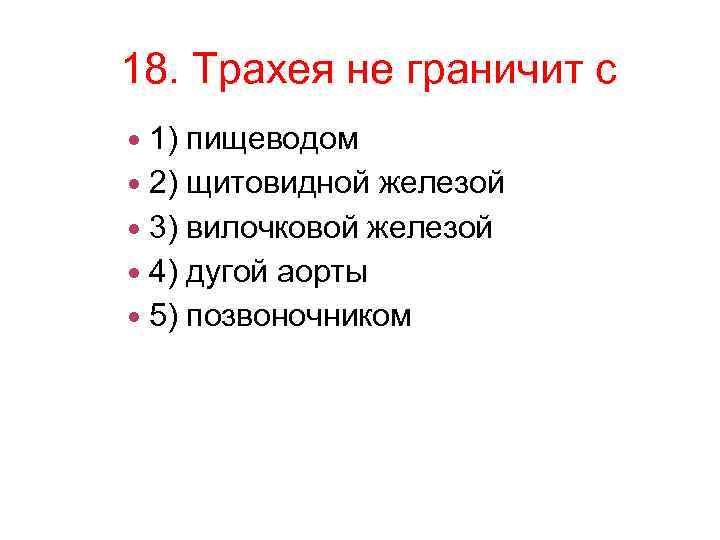 18. Трахея не граничит с 1) пищеводом 2) щитовидной железой 3) вилочковой железой 4)