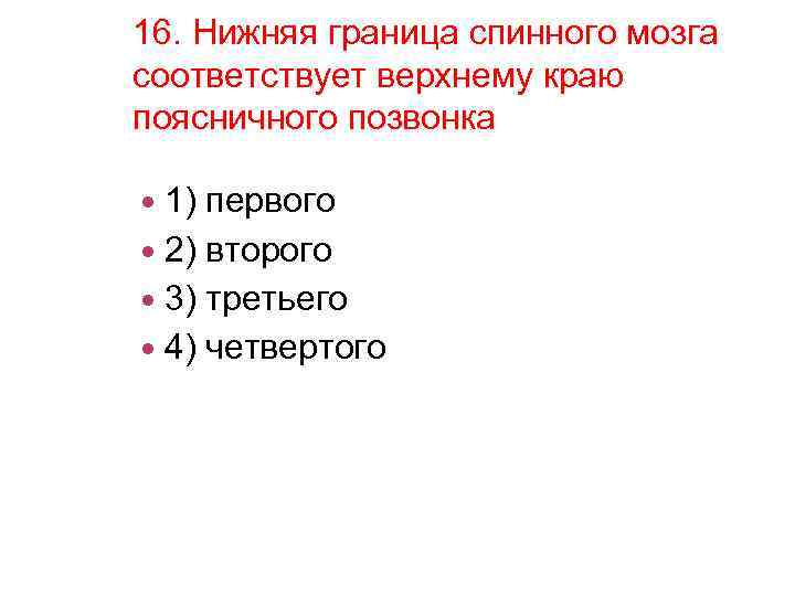 Нижняя граница спинного мозга соответствует позвонку