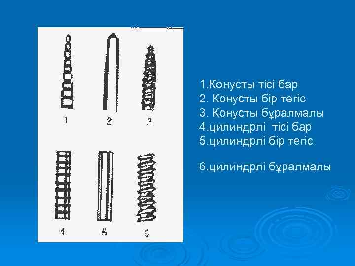 1. Конусты тісі бар 2. Конусты бір тегіс 3. Конусты бұралмалы 4. цилиндрлі тісі