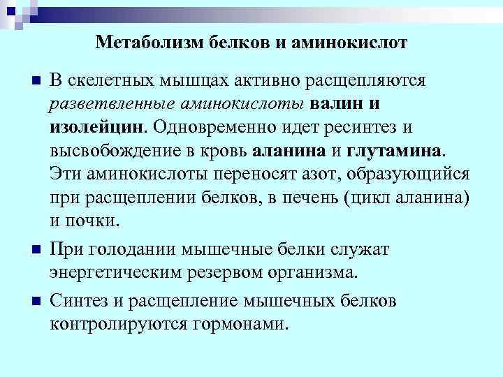 Метаболизм белков и аминокислот n n n В скелетных мышцах активно расщепляются разветвленные аминокислоты