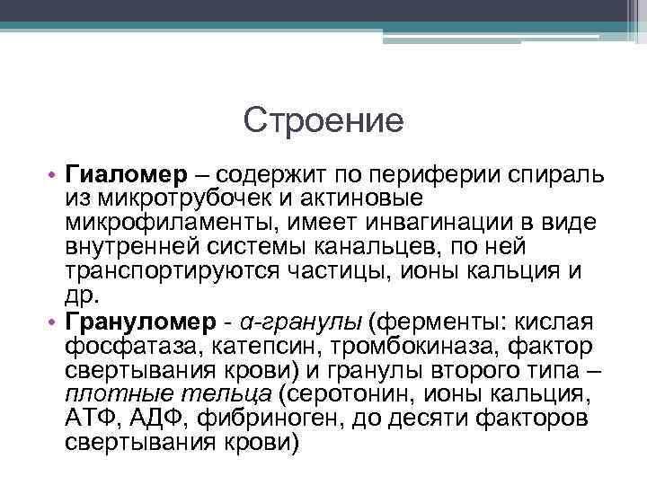 Строение • Гиаломер – содержит по периферии спираль из микротрубочек и актиновые микрофиламенты, имеет