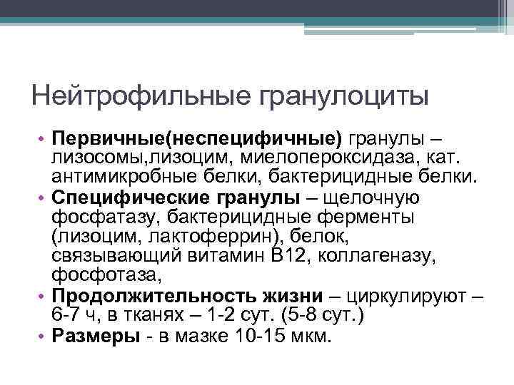 Нейтрофильные гранулоциты • Первичные(неспецифичные) гранулы – лизосомы, лизоцим, миелопероксидаза, кат. антимикробные белки, бактерицидные белки.