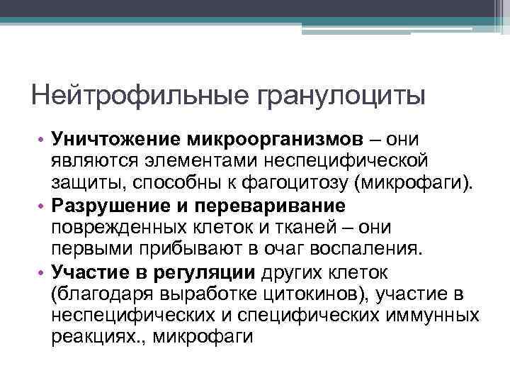 Нейтрофильные гранулоциты • Уничтожение микроорганизмов – они являются элементами неспецифической защиты, способны к фагоцитозу