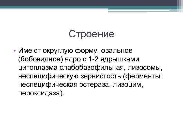 Строение • Имеют округлую форму, овальное (бобовидное) ядро с 1 -2 ядрышками, цитоплазма слабобазофильная,