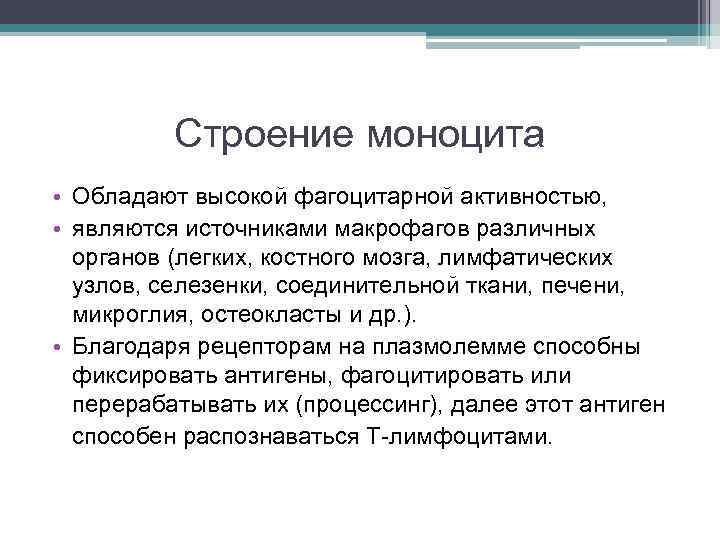 Строение моноцита • Обладают высокой фагоцитарной активностью, • являются источниками макрофагов различных органов (легких,