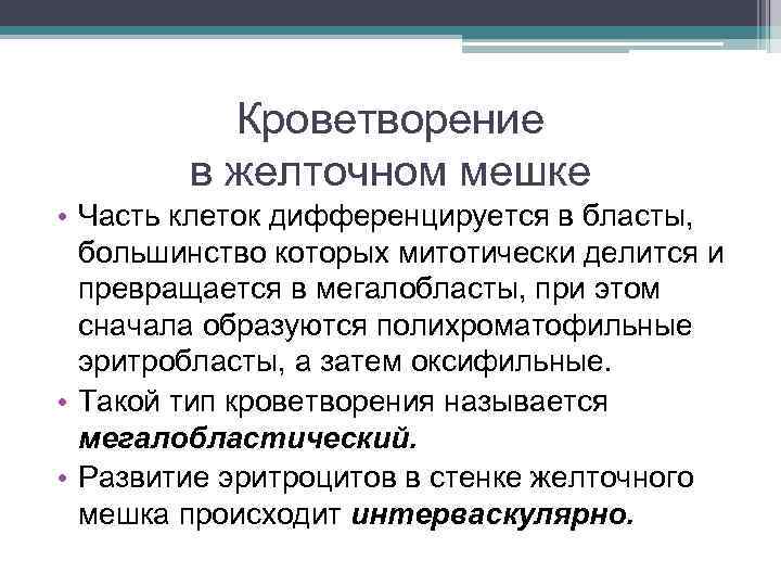 Кроветворение в желточном мешке • Часть клеток дифференцируется в бласты, большинство которых митотически делится