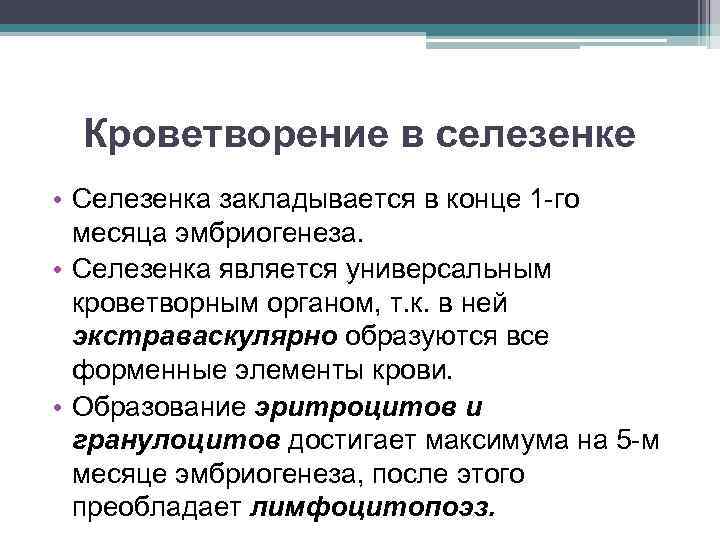 Кроветворение в селезенке • Селезенка закладывается в конце 1 -го месяца эмбриогенеза. • Селезенка