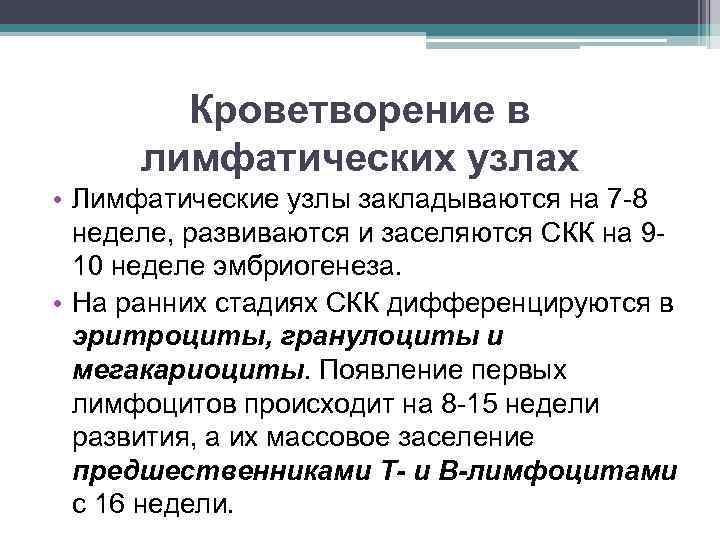 Кроветворение в лимфатических узлах • Лимфатические узлы закладываются на 7 -8 неделе, развиваются и