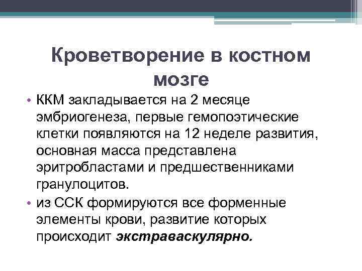 Кроветворение в костном мозге • ККМ закладывается на 2 месяце эмбриогенеза, первые гемопоэтические клетки