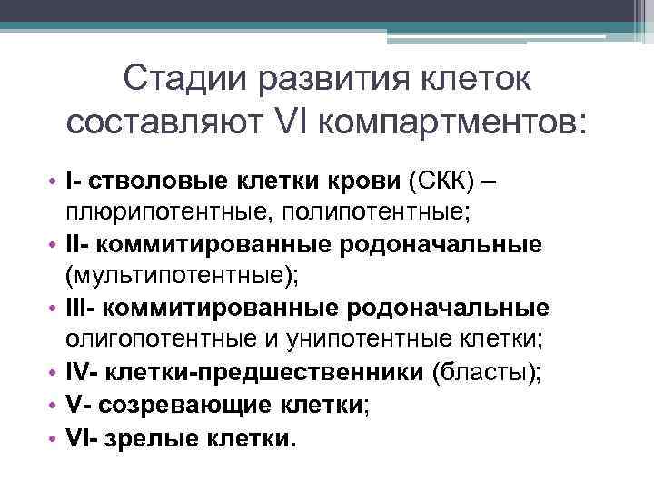 Стадии развития клеток составляют VI компартментов: • I- стволовые клетки крови (СКК) – плюрипотентные,