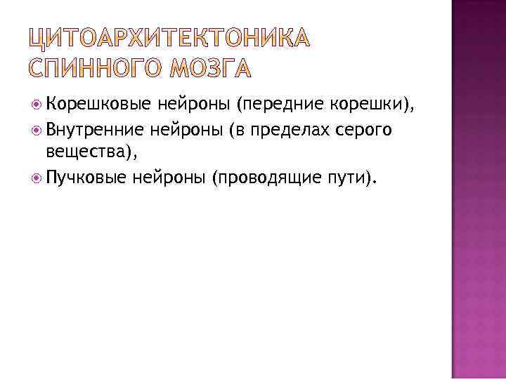  Корешковые нейроны (передние корешки), Внутренние нейроны (в пределах серого вещества), Пучковые нейроны (проводящие