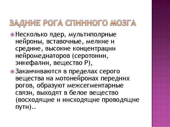 Несколько ядер, мультиполрные нейроны, вставочные, мелкие и средние, высокие концентрации нейромедиаторов (серотонин, энкефалин,