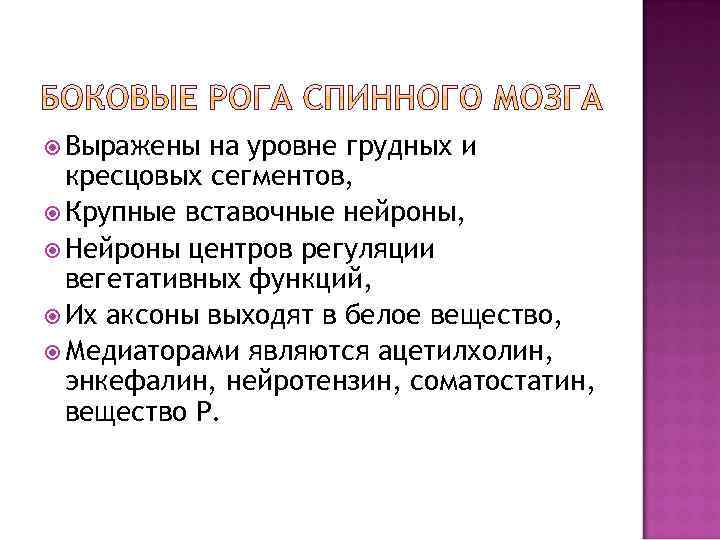  Выражены на уровне грудных и кресцовых сегментов, Крупные вставочные нейроны, Нейроны центров регуляции