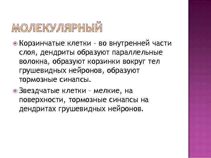  Корзинчатые клетки – во внутренней части слоя, дендриты образуют параллельные волокна, образуют корзинки