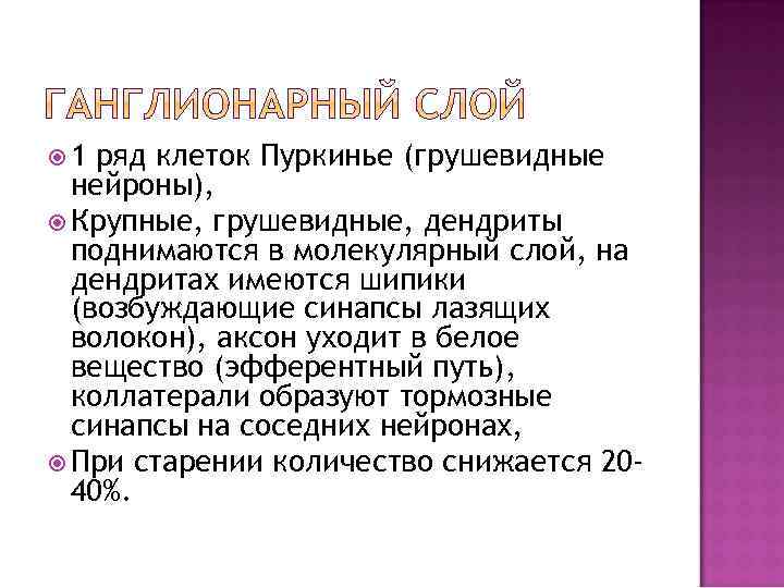  1 ряд клеток Пуркинье (грушевидные нейроны), Крупные, грушевидные, дендриты поднимаются в молекулярный слой,