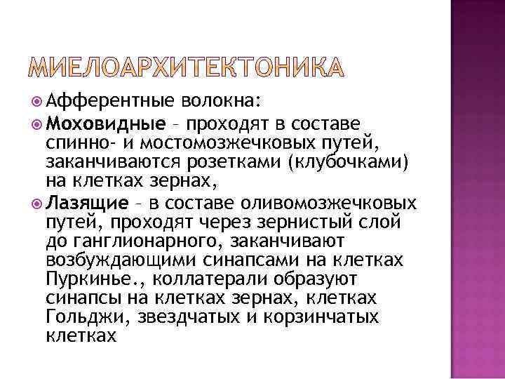 Афферентные волокна: Моховидные – проходят в составе спинно- и мостомозжечковых путей, заканчиваются розетками