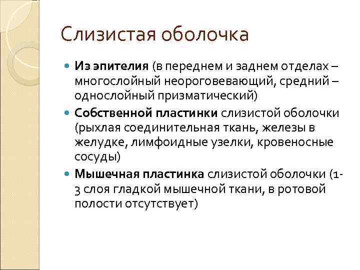 Слизистая оболочка Из эпителия (в переднем и заднем отделах – многослойный неороговевающий, средний –