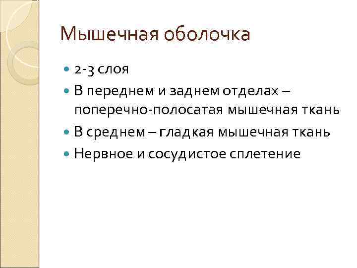 Мышечная оболочка 2 -3 слоя В переднем и заднем отделах – поперечно-полосатая мышечная ткань