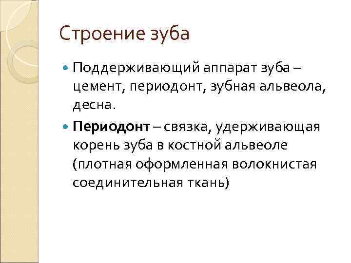 Строение зуба Поддерживающий аппарат зуба – цемент, периодонт, зубная альвеола, десна. Периодонт – связка,