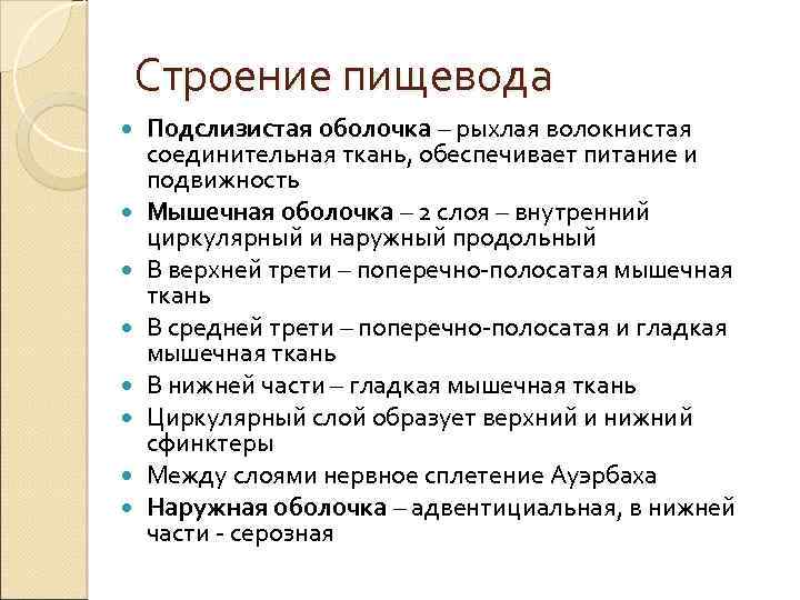 Строение пищевода Подслизистая оболочка – рыхлая волокнистая соединительная ткань, обеспечивает питание и подвижность Мышечная